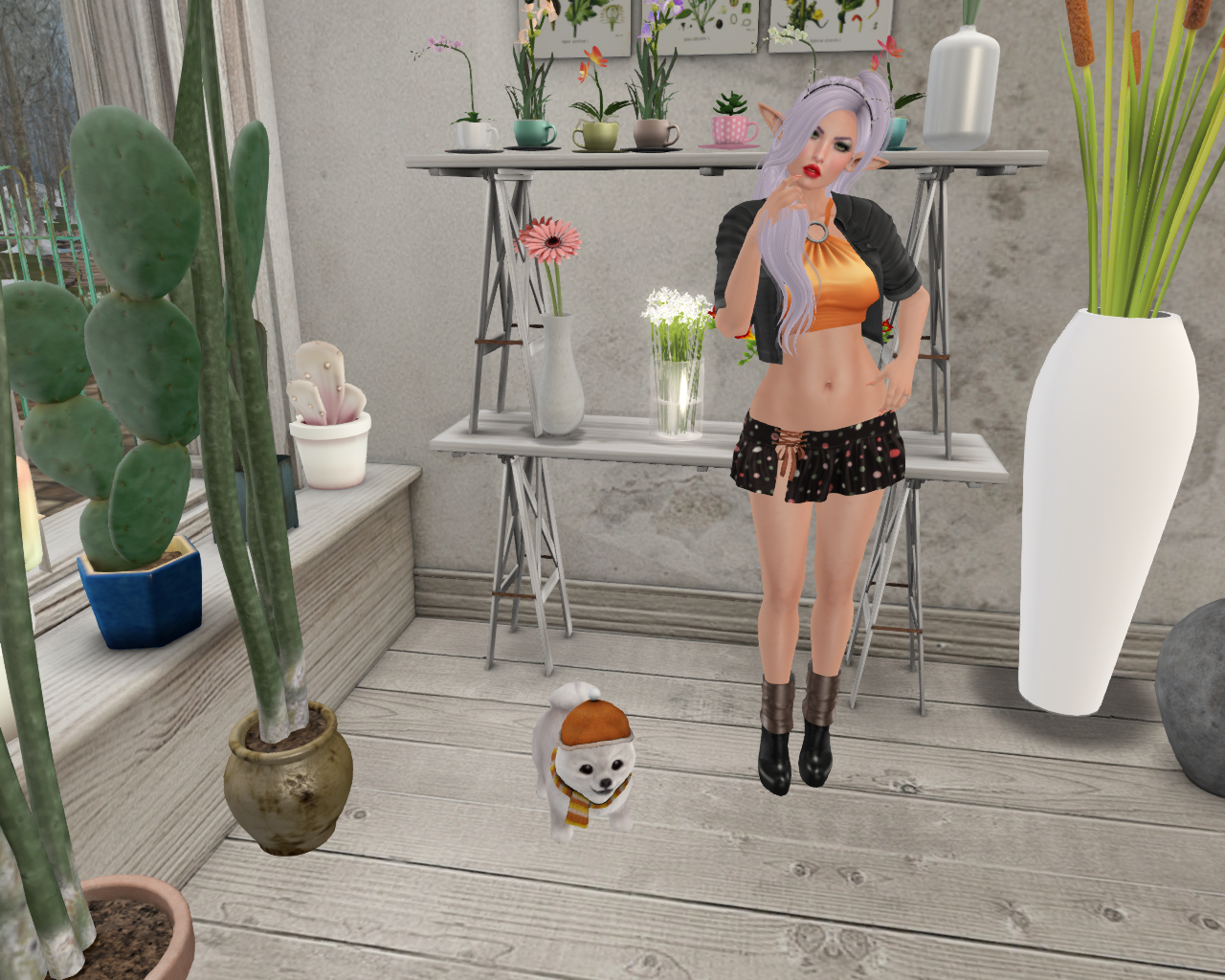 snapshot_011